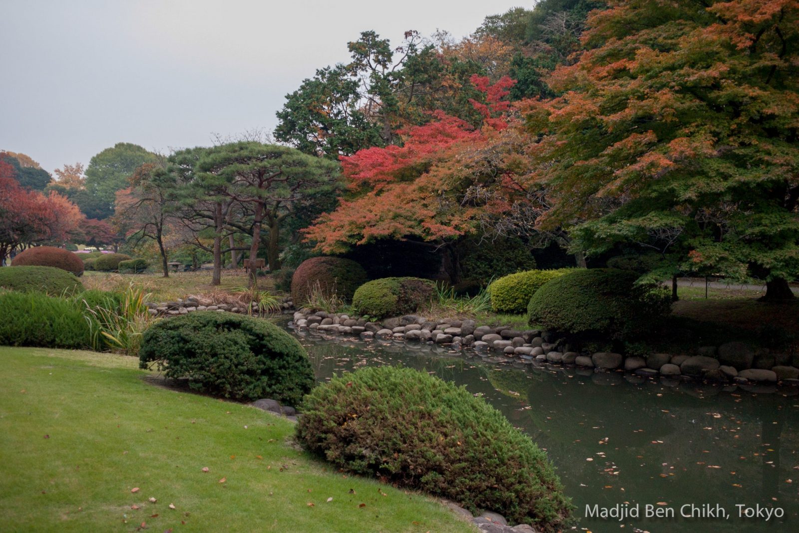 Promenade du dimanche, Shinjuku Gyoen. C’est l’automne…