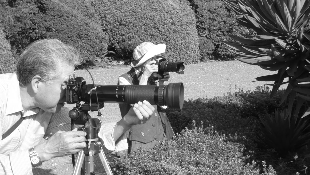 Les Japonais aiment les fleu… leur appareil photo