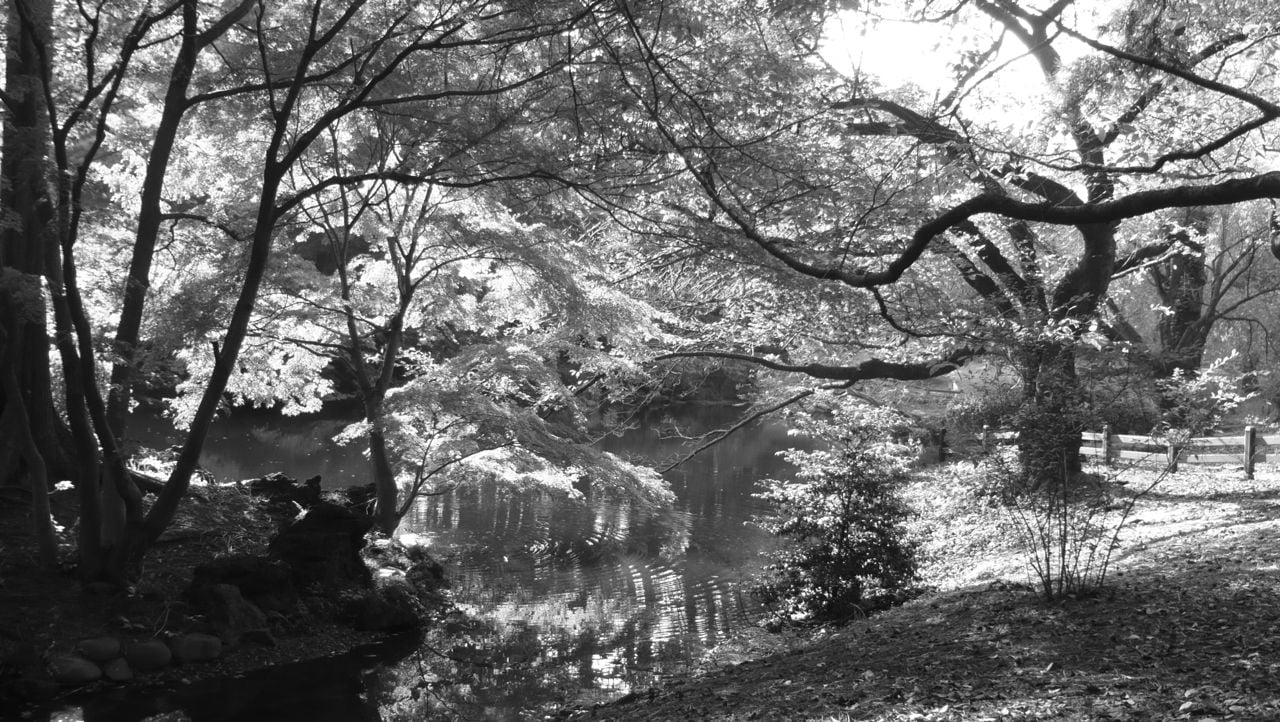 Vers l’hivers…