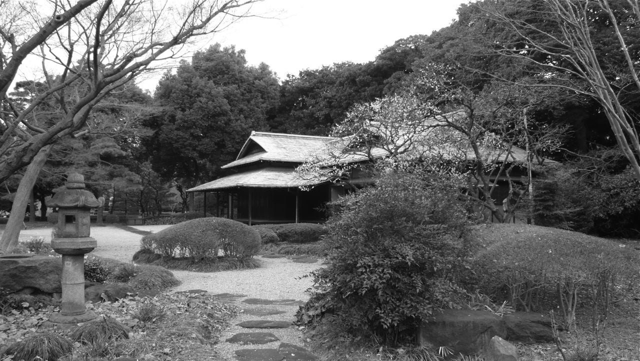 Tokyo, Quintidi 5 Pluviose 217