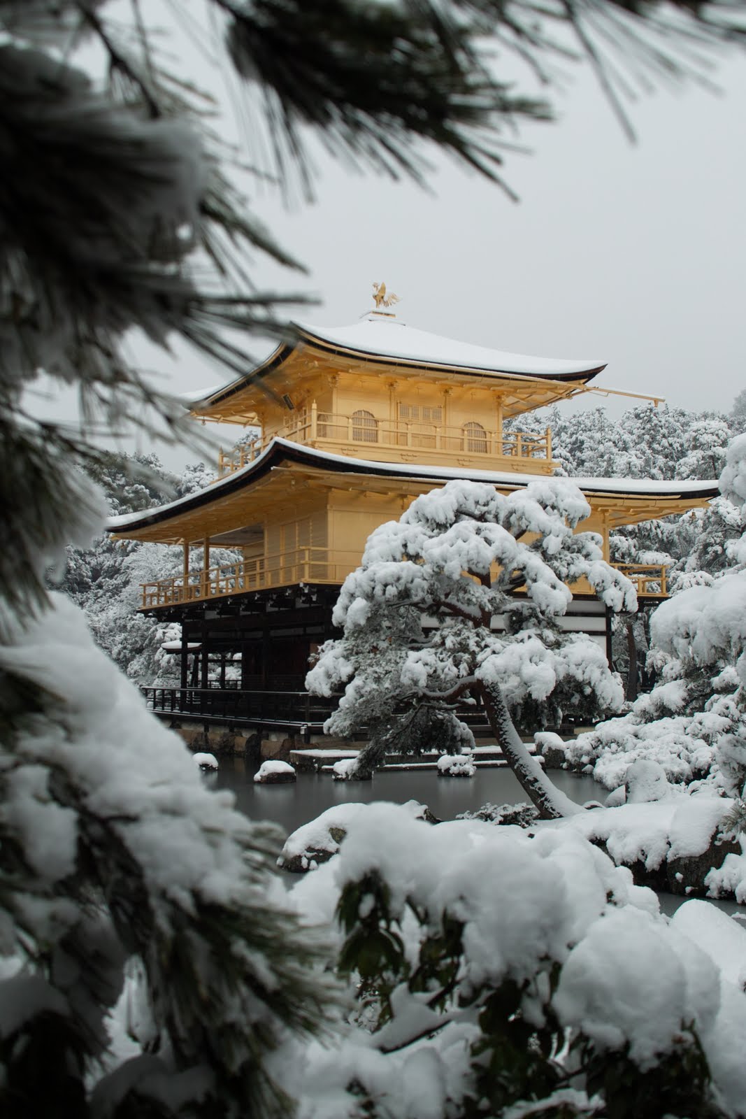 Bonne année / Happy new year / 新年明けましておめでとうございます