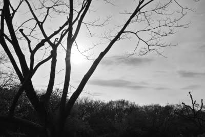 Hésitation… Et envie de renouveau…