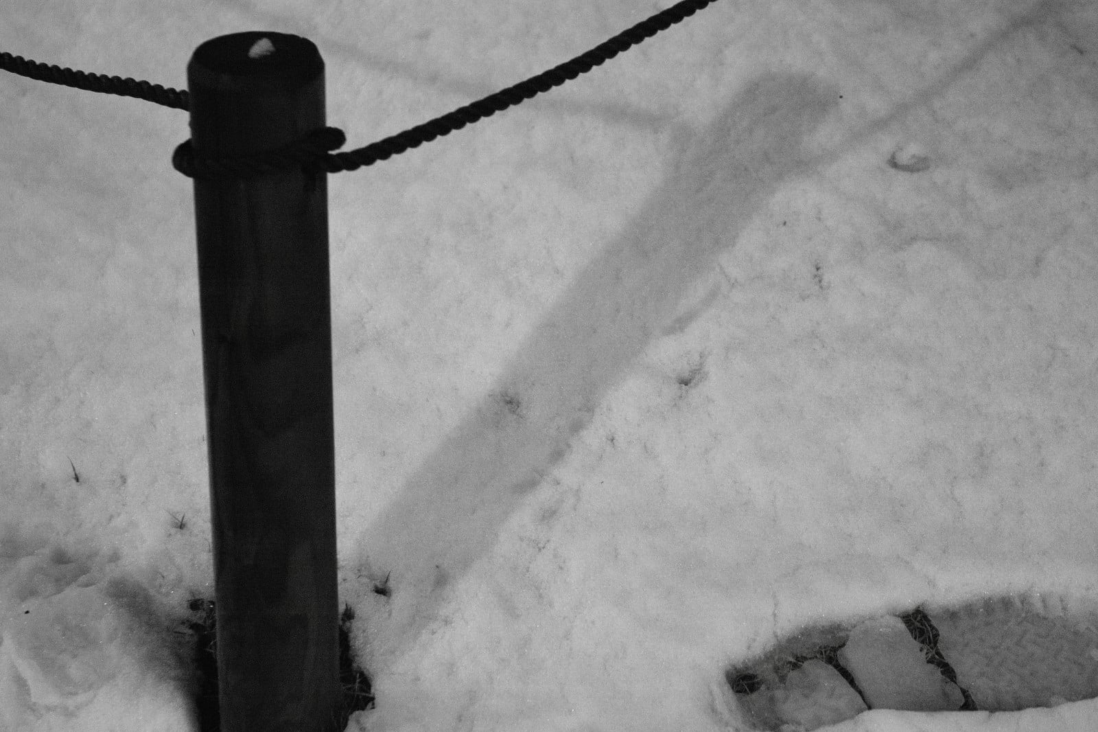 Billet de jour de neige