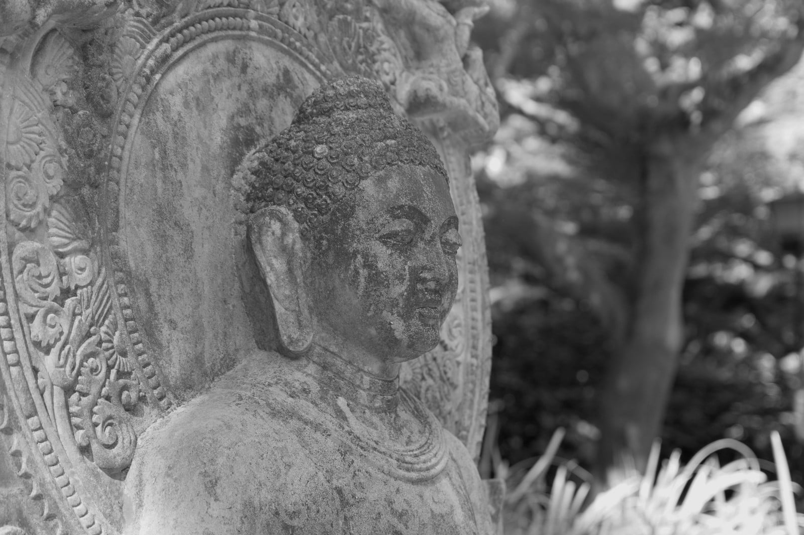 Un dimanche d’octobre à Kamakura