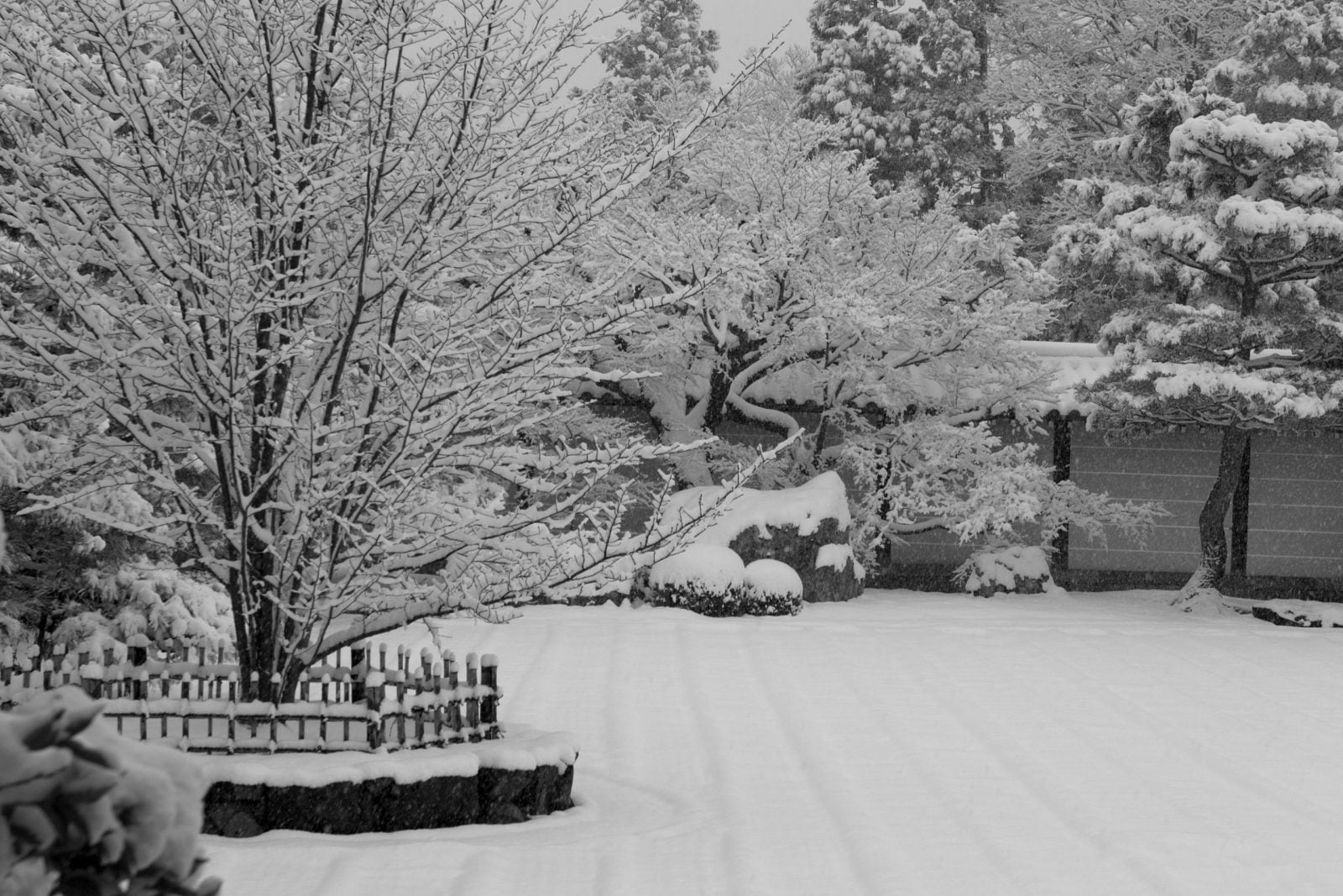 C’est l’hiver