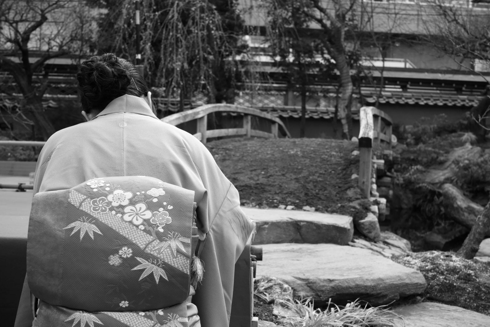 De Yushima a Ueno, encore en hiver
