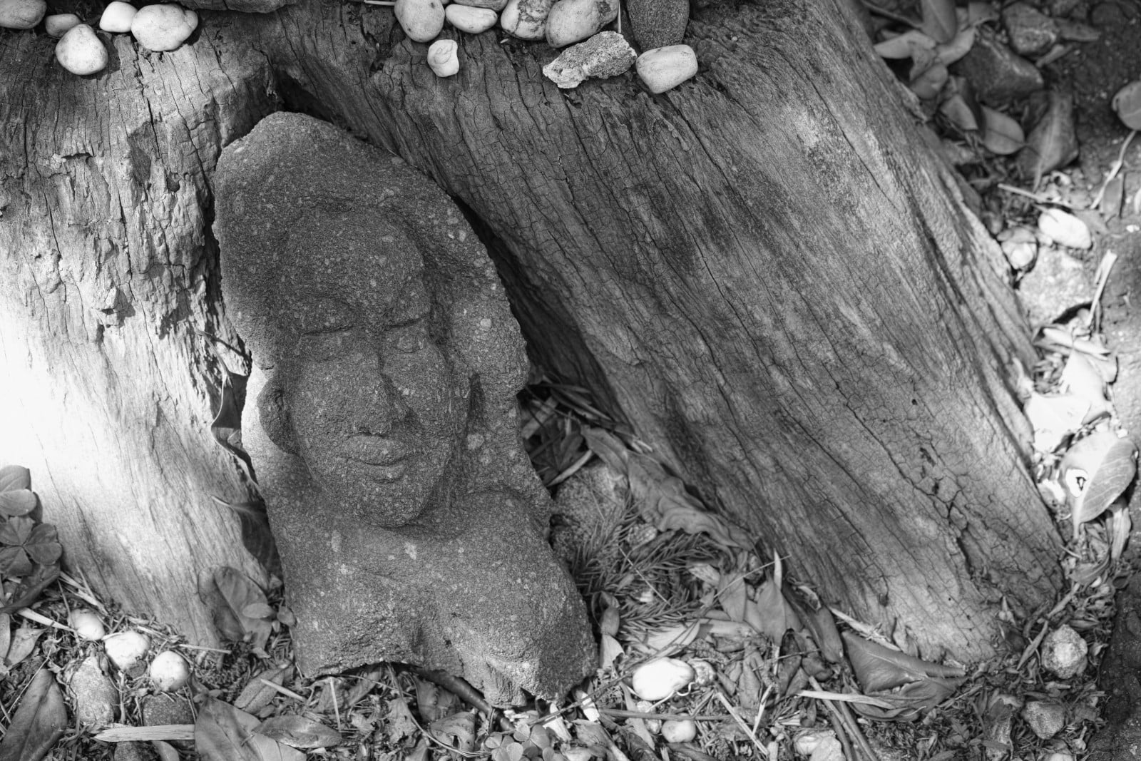 A Kamakura…