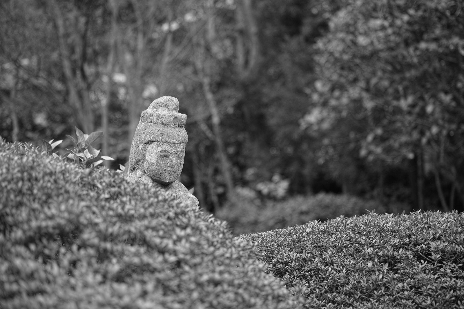 Kamakura, en attendant le printemps